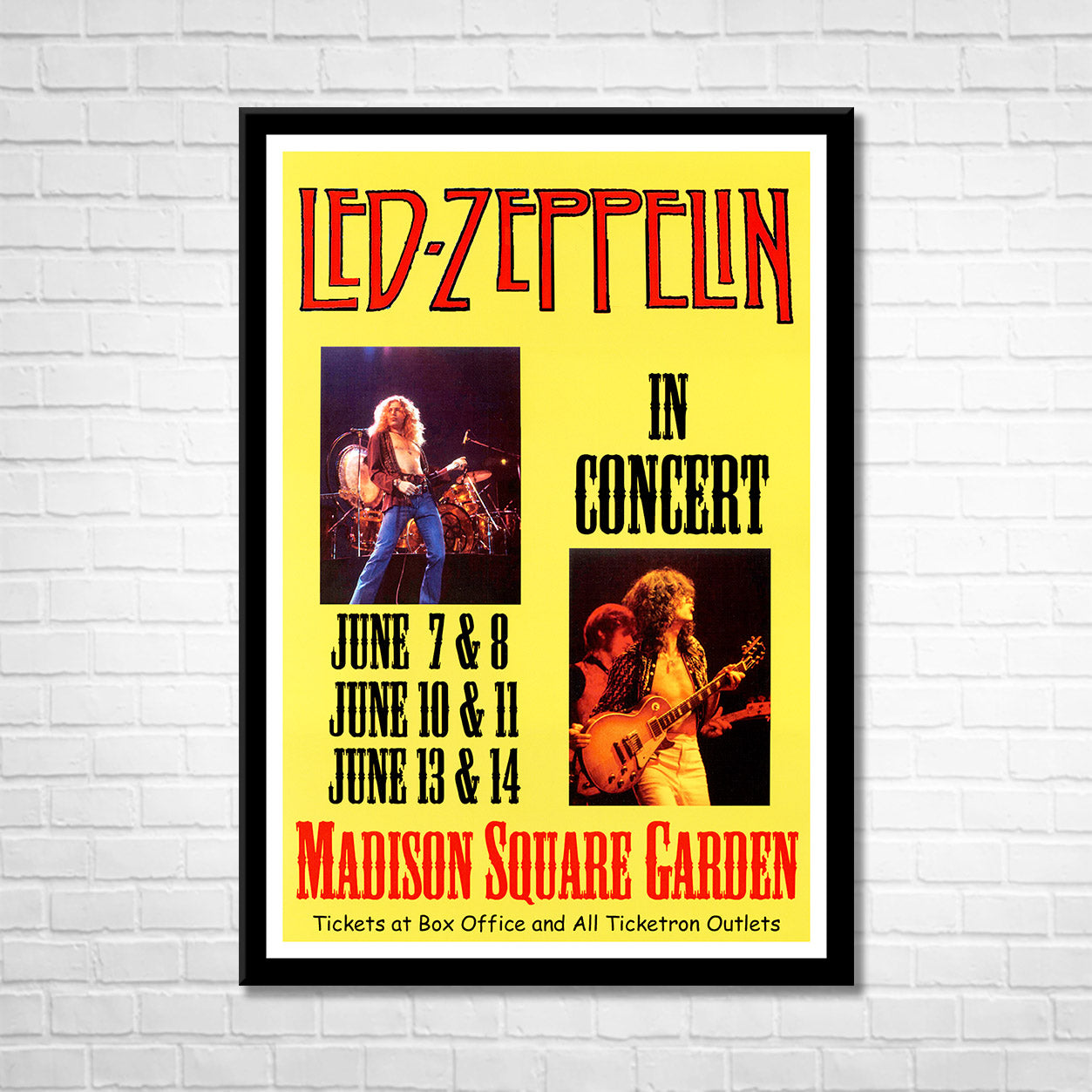 LED ZEPPELIN in Concert - Madison Square Garden